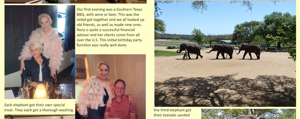 TexasBdayWebsitePage