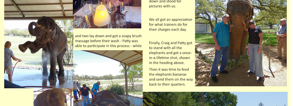 TexasBdayWebsitePage