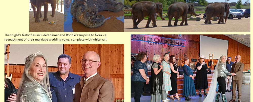 TexasBdayWebsitePage