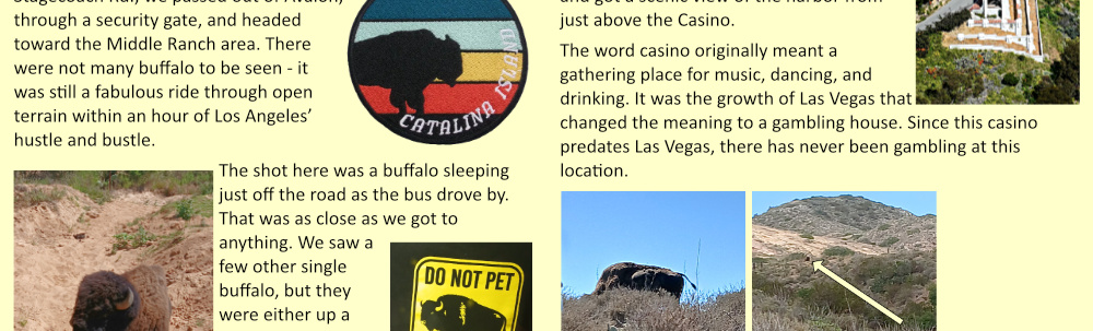 Patty's 75th Birthday in Catalina