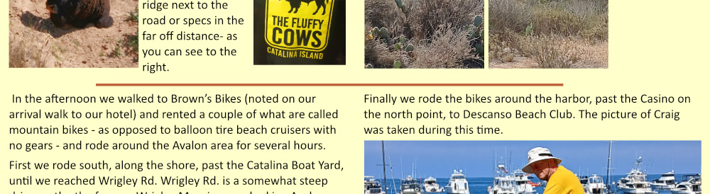 Patty's 75th Birthday in Catalina