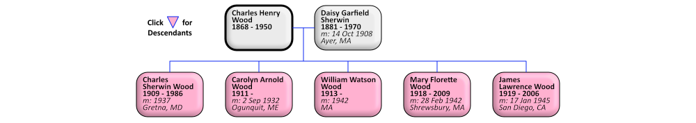 descendants of Charles Henry Wood