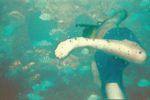 Craig snorkling in Barbados with fish