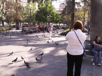 Ellen feeding pigeons