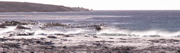 Falklands Islands windswept coast