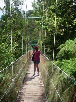Dominica rainforest Patty on bridge