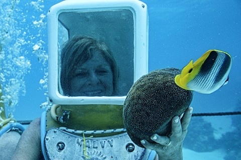Patty with fish