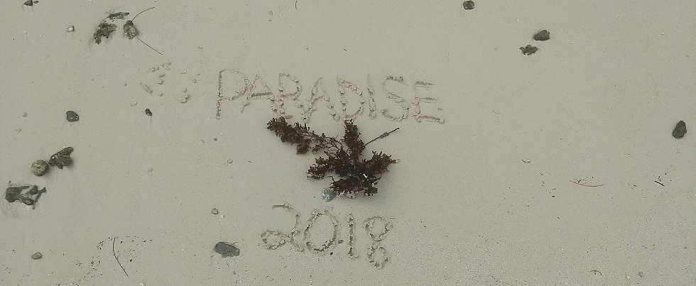 Paradise Tour - 2018
