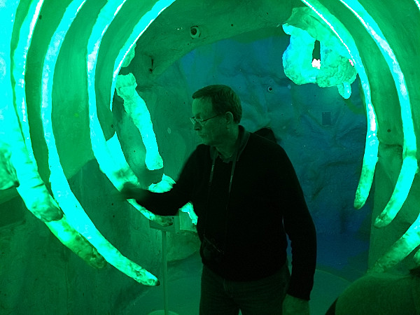 Craig playing bones in Meow Wolf Museum