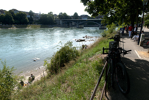 swimmers along the Rhein